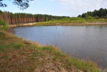 На юге Украины есть угроза полного высыхания рек: эксперт ответила, когда это может произойти