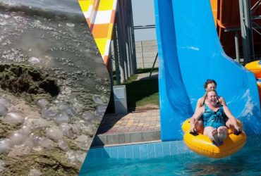 Море напоминает болото: в сети показали, во что РФ превратила популярный курорт в Украине