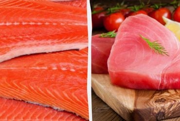 Тунець чи лосось: яка рибна консерва корисна