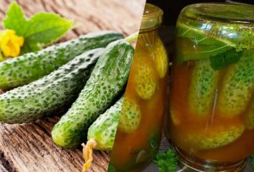 Як закрити огірки в кетчупі чилі на зиму: 3 незрівнянні рецепти