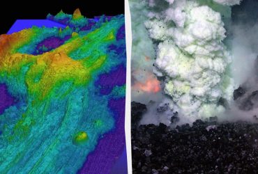 Подводный гигант просыпается: ученые фиксируют признаки скорого извержения Axial Seamount