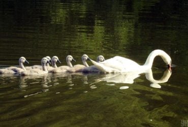 В Україну повертається літнє тепло: температура підніметься до +30°