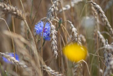 27 августа погода в Украине начнет меняться (карта)