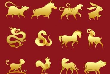 У шести китайских знаков Зодиака вскоре начнется белая полоса: их ждет успех