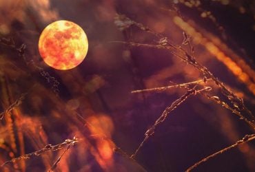 Коли зійде Кривавий Місяць: чого чекати від містичного затемнення 7 вересня