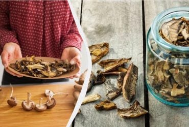 Замачивать часами не нужно: вот чем посыпать сушеные грибы, чтобы приготовить быстро