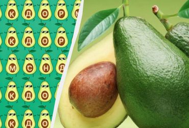 Тільки справжній талант знайде слово авокадо за 10 секунд: дивовижна головоломка