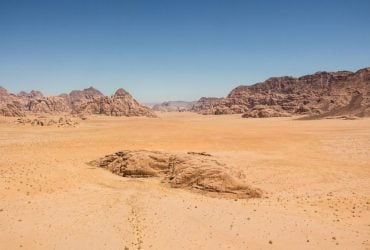 Серед пустелі знайшли величезне кладовище китів: розкрито таємницю походження цих тварин