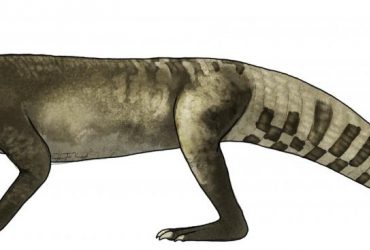 Питался динозаврами: хищника возрастом 70 миллионов лет назвали в честь египетского бога