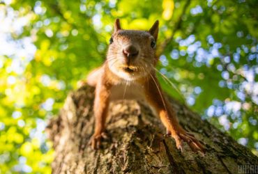 Укргідрометцентр повідомив, яка погода буде у Києві на початку осені (інфографіка)