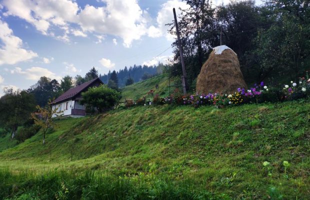 У які місця їздили та чого хотіли: що відомо про внутрішній туризм в Україні у 2025 році
