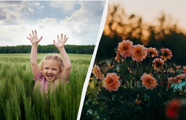 Які три речі потрібно зробити в Горіховий Спас: традиції свята 16 серпня 2025