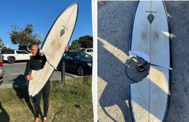 "Доска взлетела в воздух": в Австралии серфер чудом выжил после нападения акулы