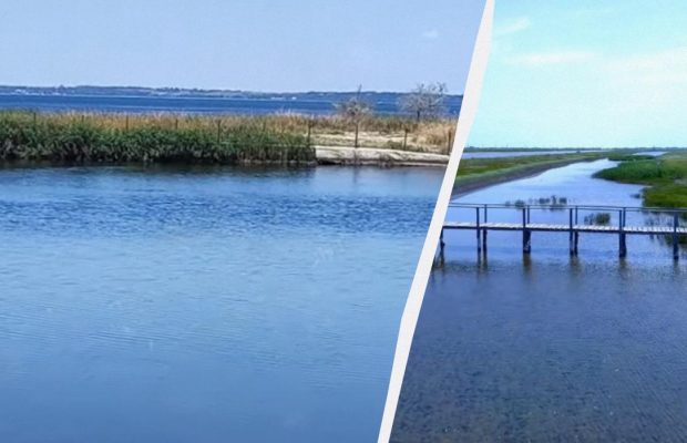 Мул и безлюдность: в сети показали, как изменился популярный курорт Азовского побережья