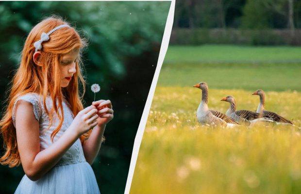 Чому не можна робити покупки: прикмети та заборони у свято 21 серпня 2025