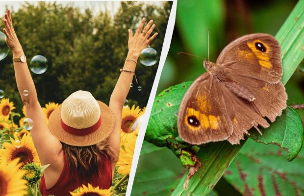 Одразу три великі свята відзначає Україна: що відсвяткувати 23 серпня 2025