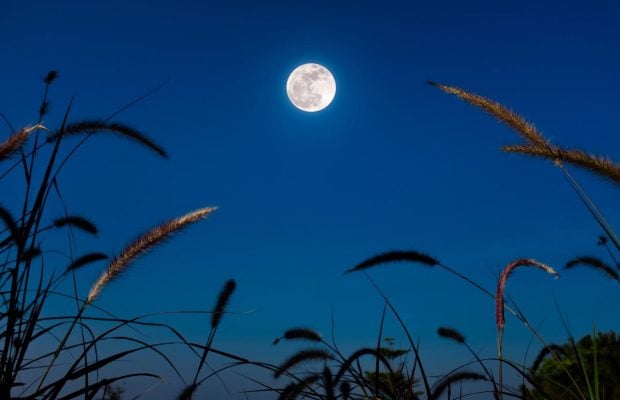 Три "грошові" дні: коли місячний календар обіцяє успіх у фінансах наприкінці вересня 2025