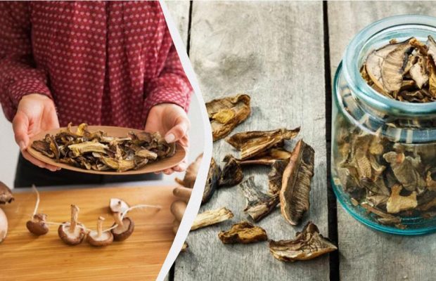 Замачивать часами не нужно: вот чем посыпать сушеные грибы, чтобы приготовить быстро