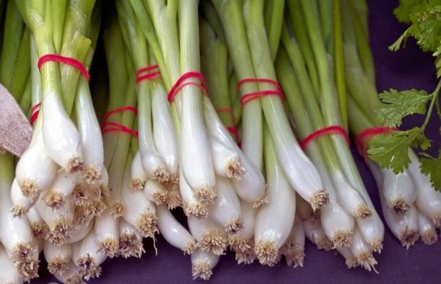 Зеленый лук на подоконнике: как получить урожай без огорода всего за несколько недель