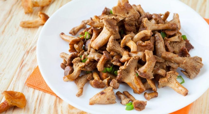 Многие жарят лисички неправильно: вот лучший способ убрать горечь