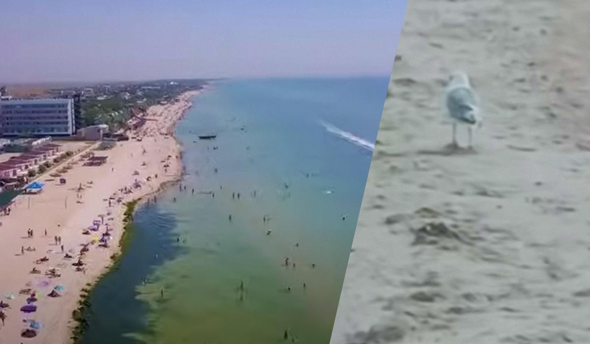 Росіянка показала курортну Кирилівку в серпні / Фото: скріншот з відео за 2021 рік, скріншот за 2025 рік Росіянка показала курортну Кирилівку в серпні / Фото: скріншот з відео за 2021 рік, скріншот за 2025 рік