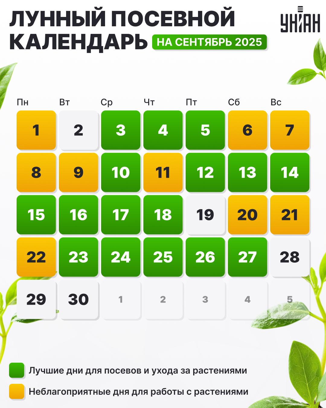 посевной календарь посевной календарь