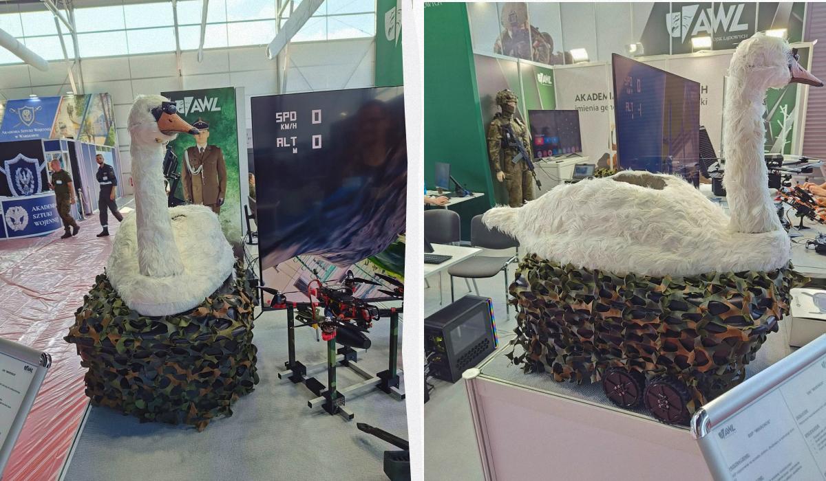 Польша создала "дрон-лебедь" / Коллаж УНИАН, фото x.com/P_Militarny Польша создала "дрон-лебедь" / Коллаж УНИАН, фото x.com/P_Militarny
