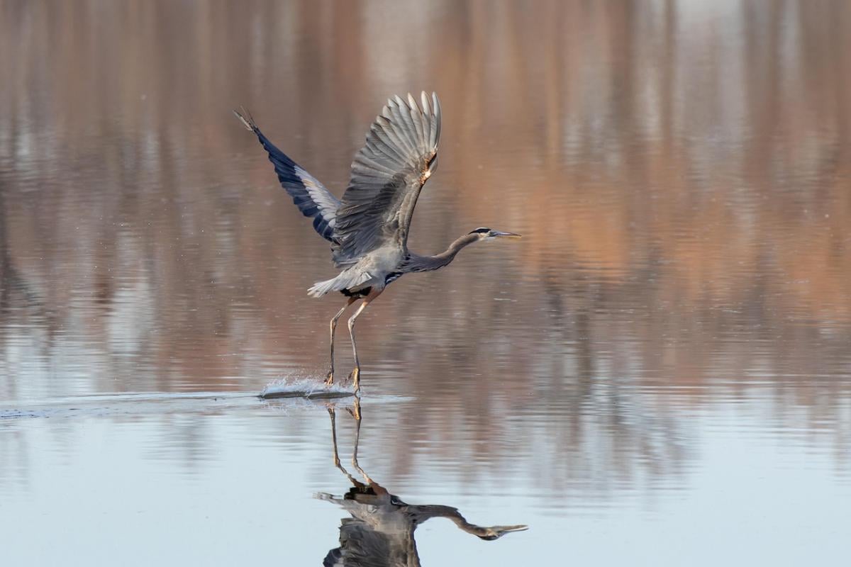 Meteorologo segnala data di lieve riscaldamento in Ucraina, ma clima tende al freddo