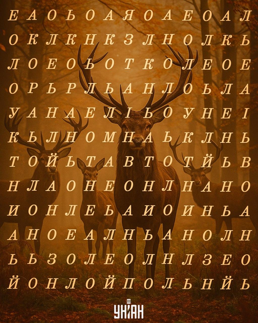 Тут сховано слово "олень", яке треба знайти за 12 секунд / фото УНІАН Тут сховано слово "олень", яке треба знайти за 12 секунд / фото УНІАН