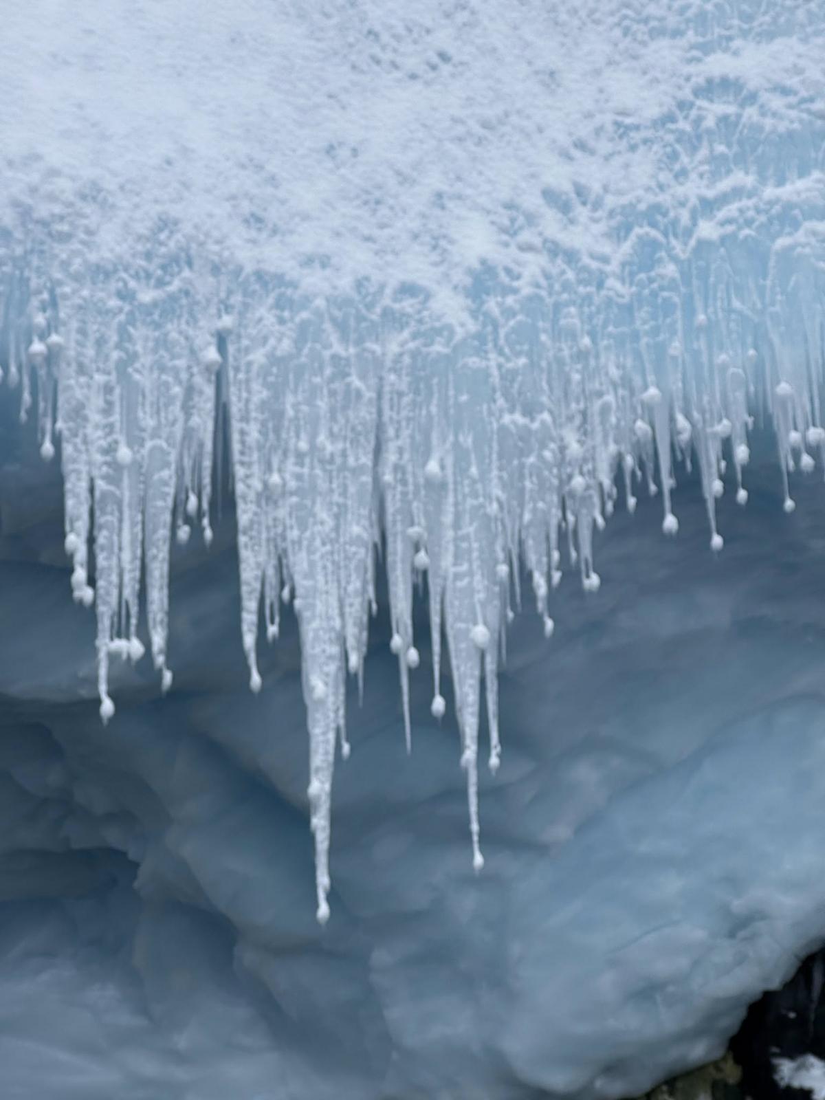 "Крижане намисто" / facebook.com/AntarcticCenter "Крижане намисто" / facebook.com/AntarcticCenter