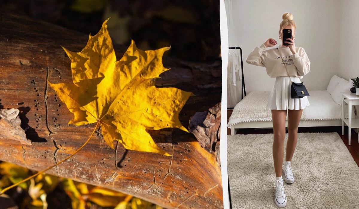 Мода завжди рухається по колу / Колаж УНІАН / фото УНІАН, instagram/lisarosii Мода завжди рухається по колу / Колаж УНІАН / фото УНІАН, instagram/lisarosii