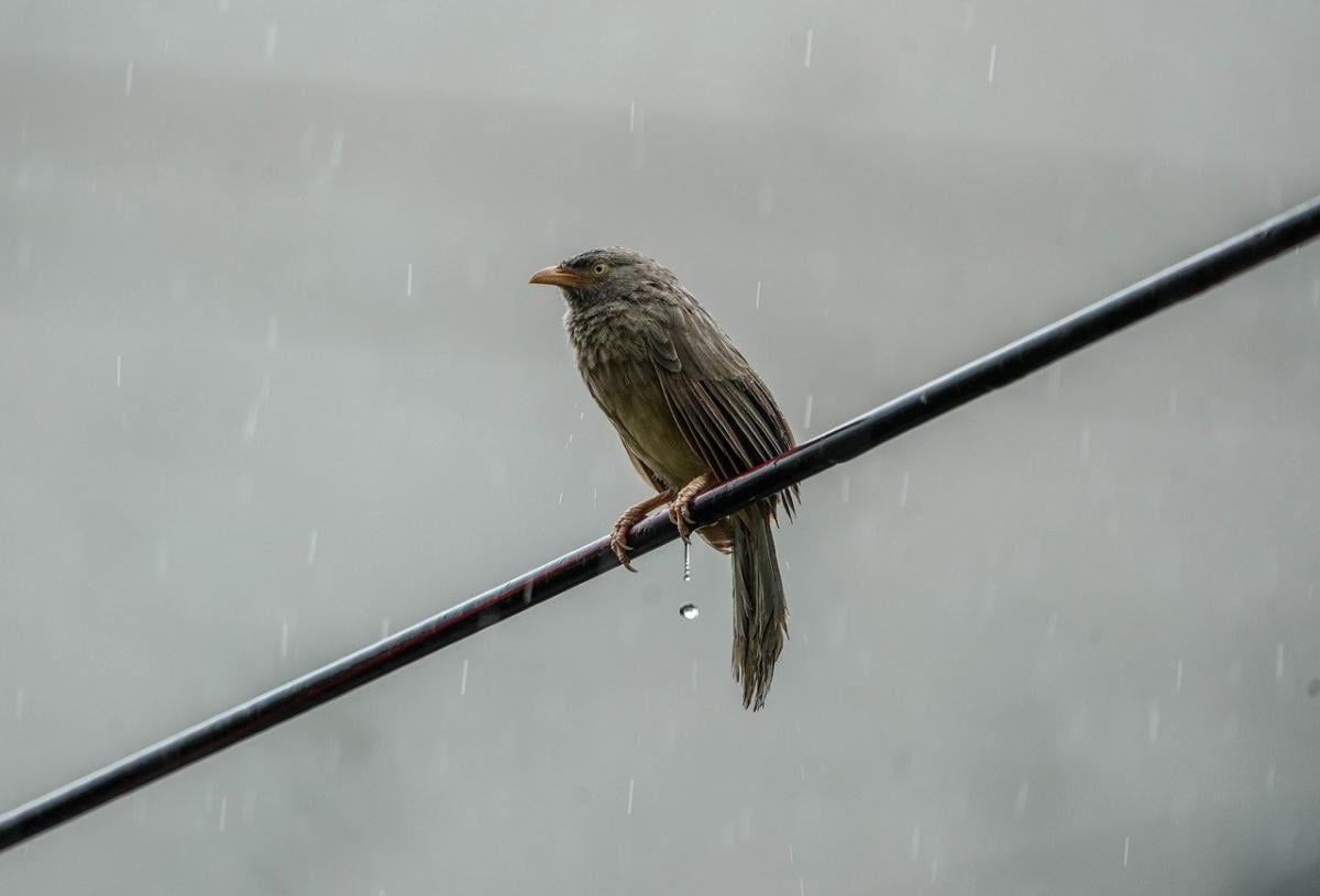 30 фото Pixabay 30 фото Pixabay