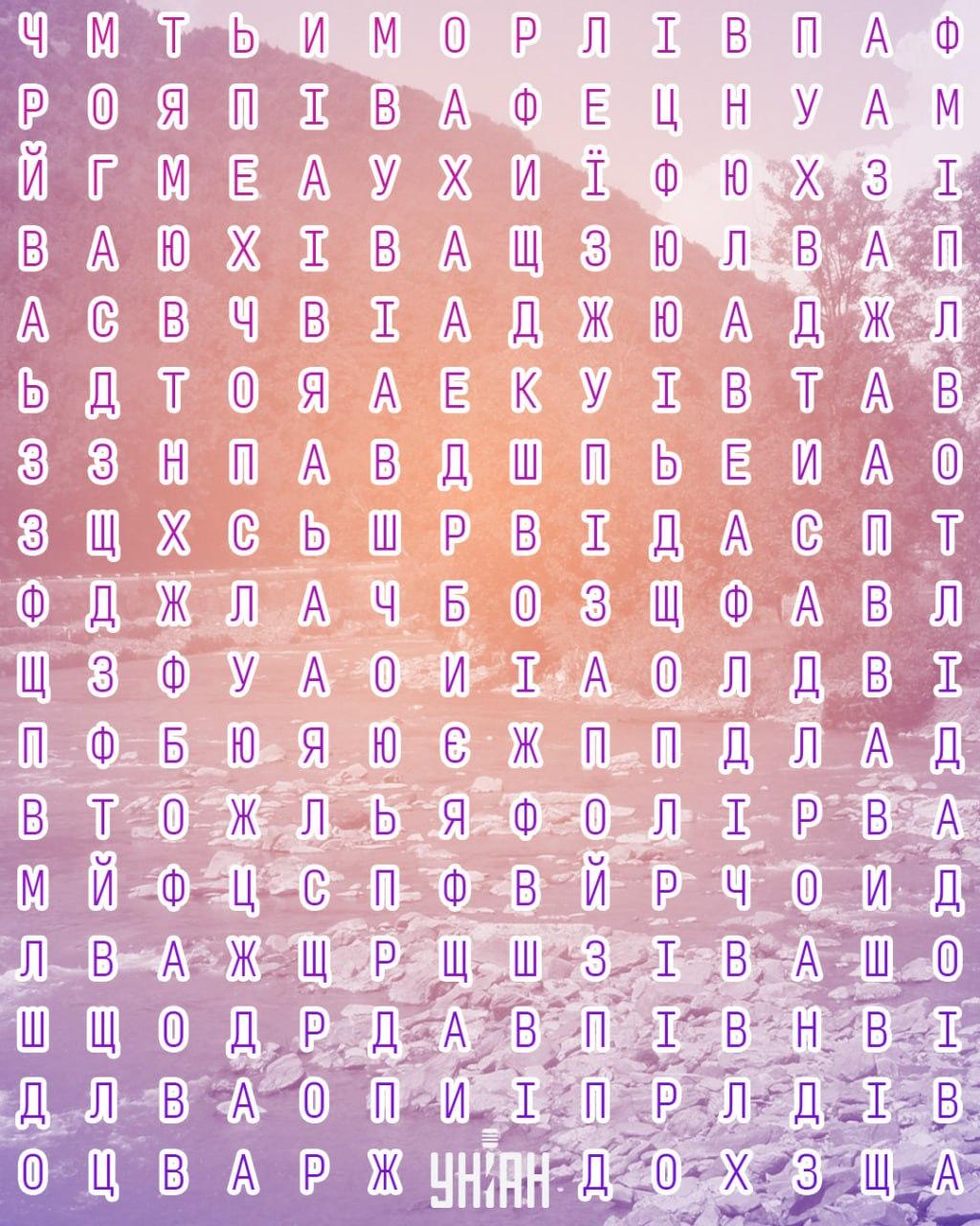 На этом фото спрятано слово "Тиса" / коллаж УНИАН На этом фото спрятано слово "Тиса" / коллаж УНИАН