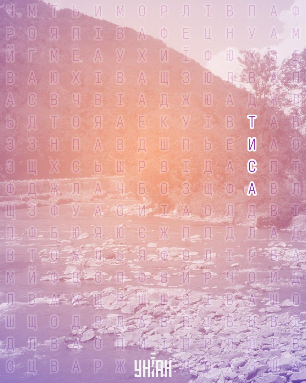 Не каждый может найти слово 'Тиса' за 10 секунд: сложная оптическая иллюзия Не каждый может найти слово 'Тиса' за 10 секунд: сложная оптическая иллюзия