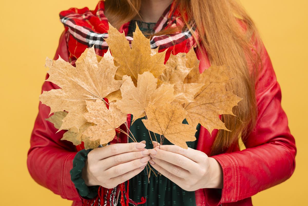 Нефото freepik.com Нефото freepik.com