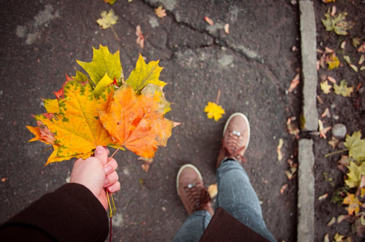 30фото pexels.com 30фото pexels.com