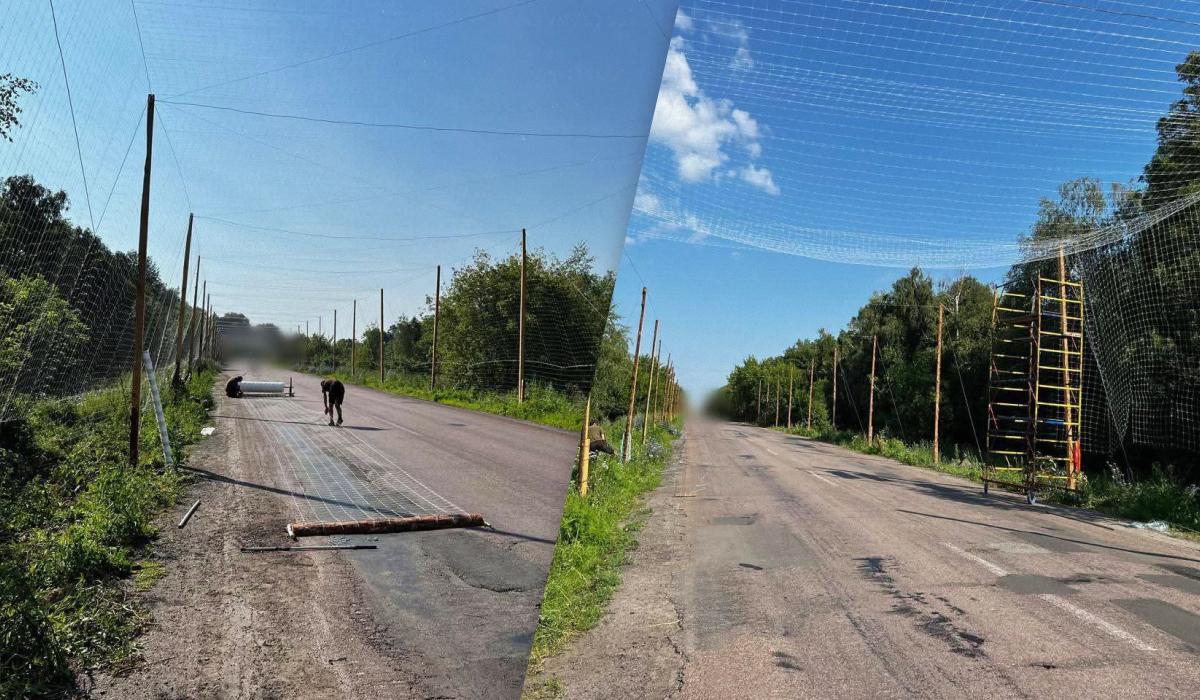 Сіток від дронів побільшало на дорогах на фронті, але росіяни вишукують слабкі місця, - BI Сіток від дронів побільшало на дорогах на фронті, але росіяни вишукують слабкі місця, - BI