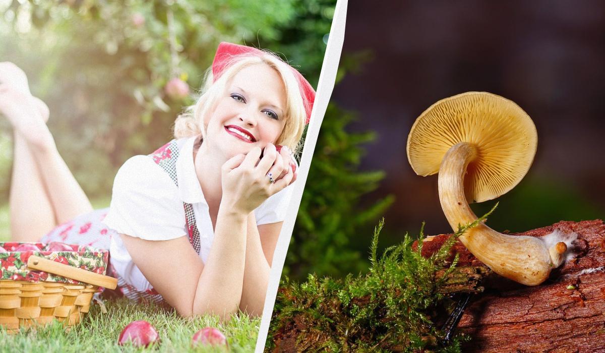 яке сьогодні свято