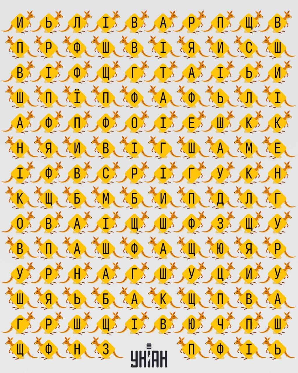 Найдите слово "кенгуру" / картинка УНИАН