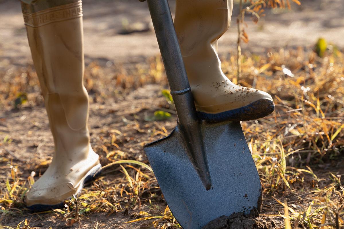 чем удобрить огород весной