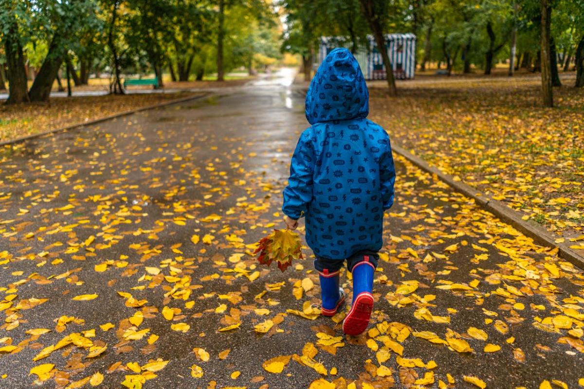 Следующая неделя будет значительно холоднее, начнутся дожди, - синоптик Диденко Следующая неделя будет значительно холоднее, начнутся дожди, - синоптик Диденко
