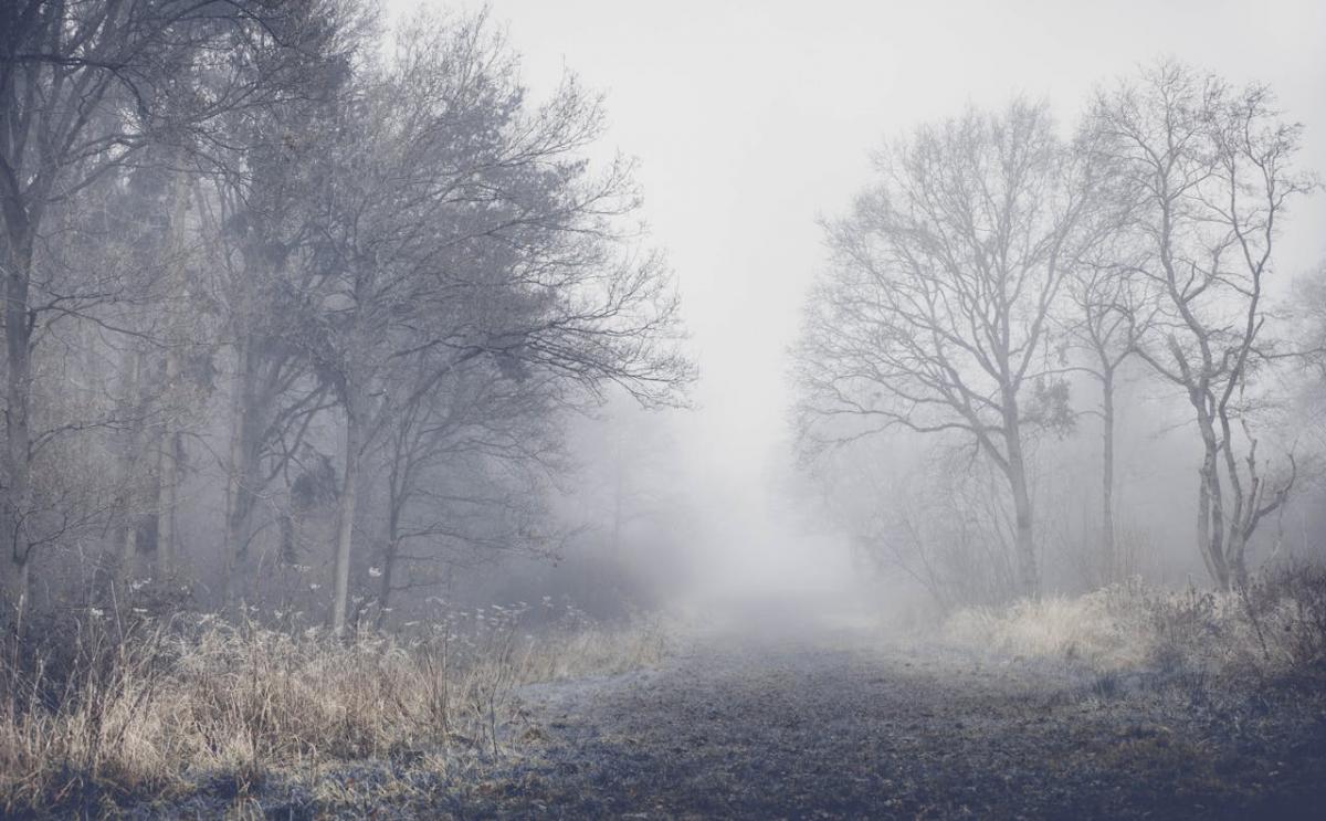 У фото pexels.com У фото pexels.com