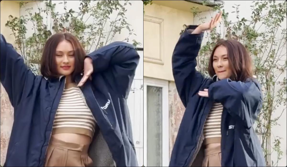 / коллаж УНИАН, скриншот / коллаж УНИАН, скриншот