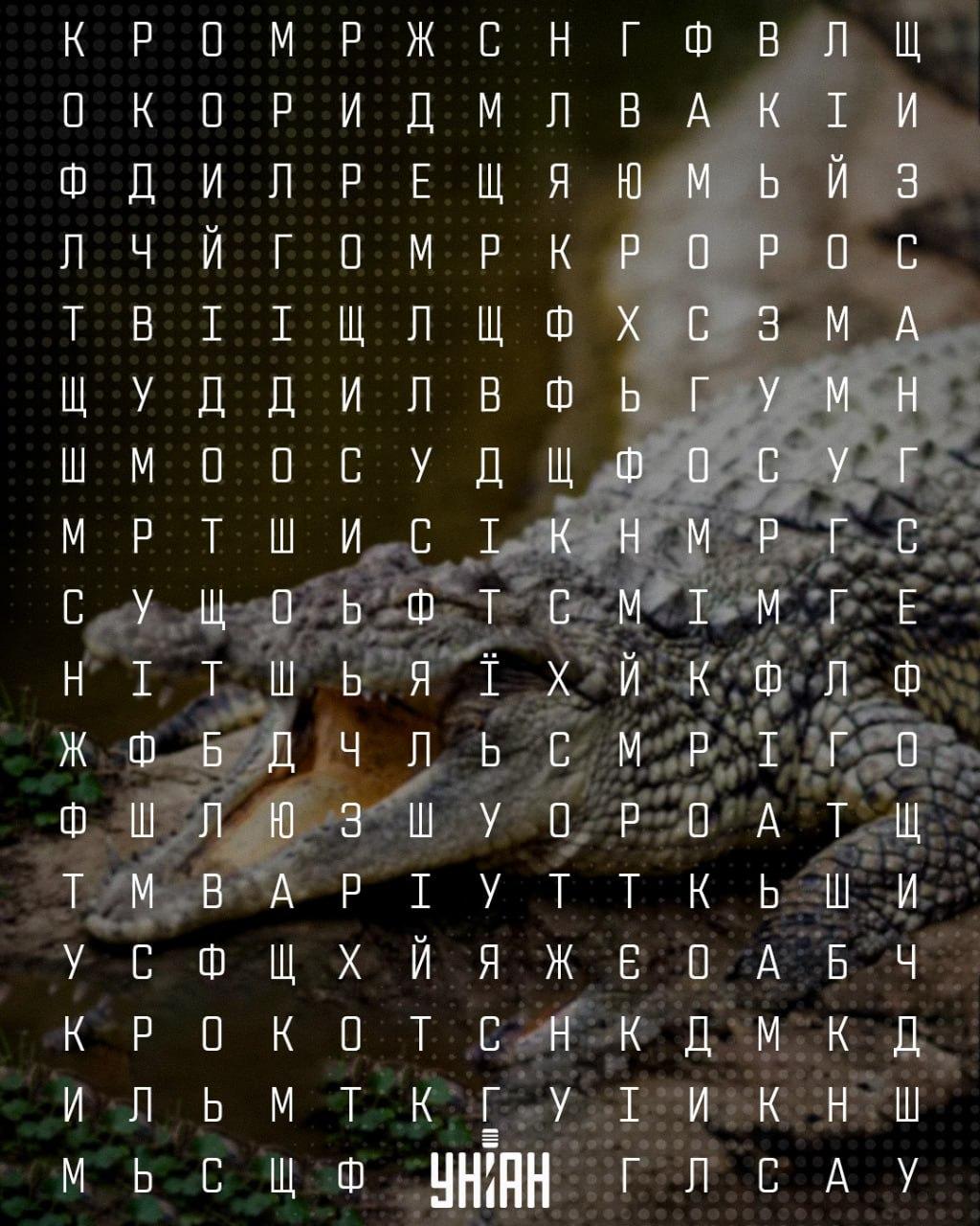 колаж УНІАН колаж УНІАН