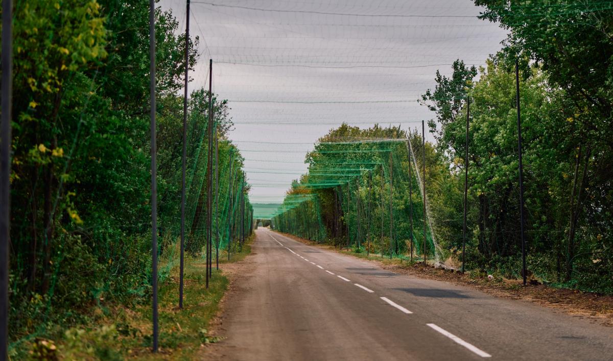 У Запорізькій області реалізується перший етап будівництва антидронових тунелів У Запорізькій області реалізується перший етап будівництва антидронових тунелів