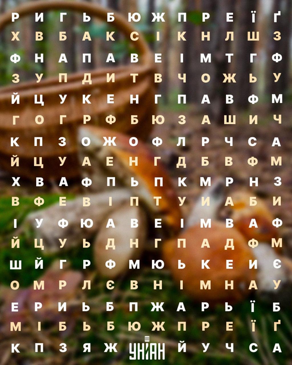 Головоломка / Коллаж УНИАН Головоломка / Коллаж УНИАН