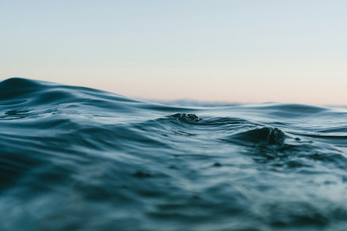 В 2024 году ученые заметили то, что поразило их / фото - Unsplash В 2024 году ученые заметили то, что поразило их / фото - Unsplash