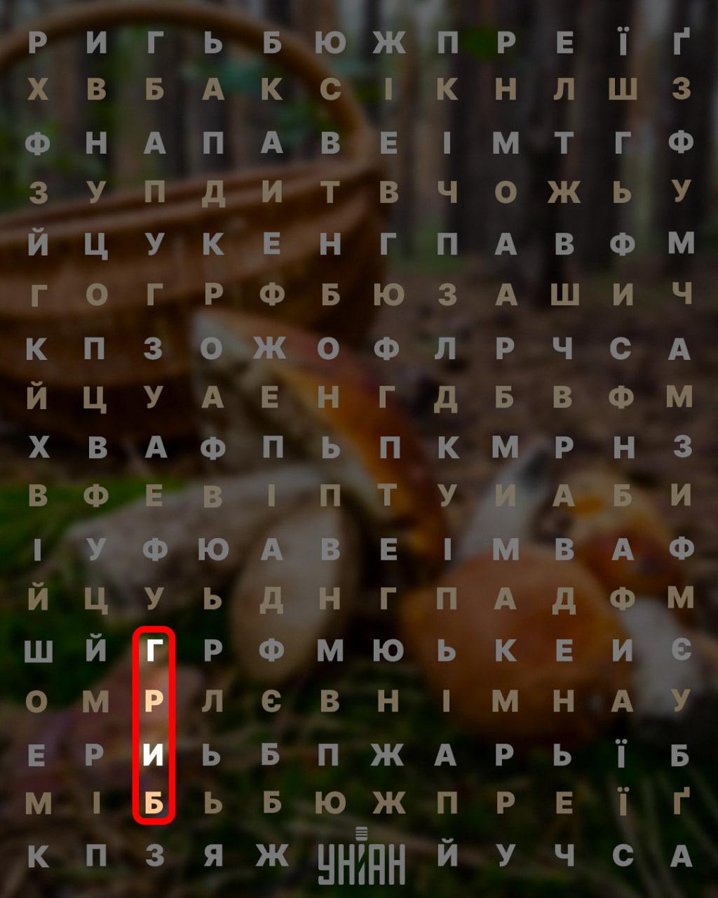 Головоломка / Коллаж УНИАН Головоломка / Коллаж УНИАН