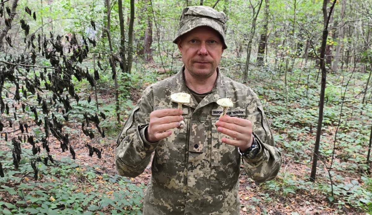 Як відрізнити отруйний гриб від їстівного