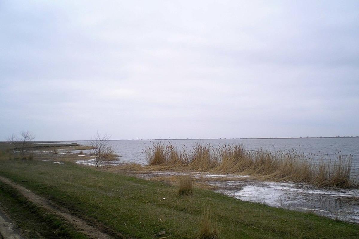 Лиман Малий Сасик, біля яког майже висох або ж глибина води складає кілька сантиметрів / фото Вікіпедія Лиман Малий Сасик, біля яког майже висох або ж глибина води складає кілька сантиметрів / фото Вікіпедія